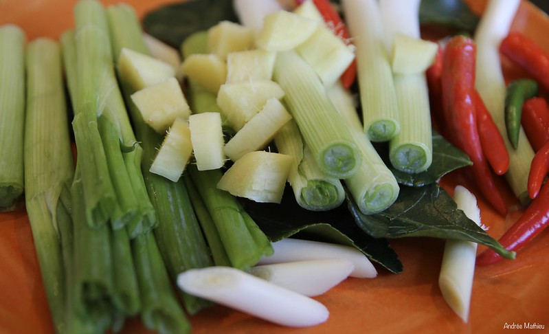 An extreme closeup shot of Tom Yum ingredients: chopped green onions, chopped ginger or galangal resting on top of lime kaffir leaves and on the side has thai chilies, green and red.